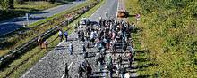 Syriske flygtninge på den sønderjyske motorvej i 2015 er blevet billedet på flygtningekrisen. Sagerne fra Holland omhandler netop syrere, der kom til landet det år. Nu er de i Holland. Arkivfoto: Ernst van Norde/Ritzau 
Scanpix