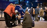 15.149 ukrainske flygtningen mellem 16 og 66 år opholder sig i Danmark. Arkivfoto: Mads Andreas Frost