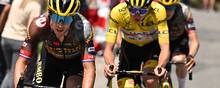 Primoz Roglic er ude af årets Tour de France. Foto: Marco Bertorello/AFP