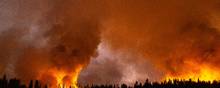 Det vestlige USA har været ramt af tørke de seneste fem år med hyppigere og mere voldsomme skovbrande som her i Yosemite Nationalpark. Foto: David Mcnew/AFP