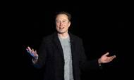 Elon Musk hænger som en skygge over Twitter, som i forvejen har meget andet at tænke på. Hele det digitale annoncemarked er nemlig i bevægelse og nogle steder i problemer. Foto: Jim Watson/AFP