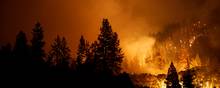 Skovbrande hærger i Californien. Foto: Fred Greaves/Reuters