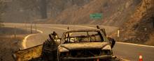 En udbrændt bil med trailer på en landevej ved Klamath National Forest nordvest for byen Yreka i staten Californien. Området er i disse dage plaget af en omsiggribende skovbrand. Foto: David Mcnew, AFP.