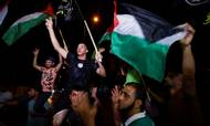 Palæstinensere fejrer, at våbenhvilen træder i kraft. Foto: Ibraheem Abu Mustafa/Reuters