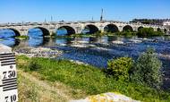Vandstanden i Loire-floden ved byen Blois mellem Tours og Orleans er nu så lav, at selv de fladbundede turistbåde risikerer at gå på grund. Foto: Anne Hollande