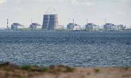 Europas største atomkraftværk i Zaporizjzja i det østlige Ukraine kan være en tikkende atomkatastrofe. Foto: Ed Jones/AFP
