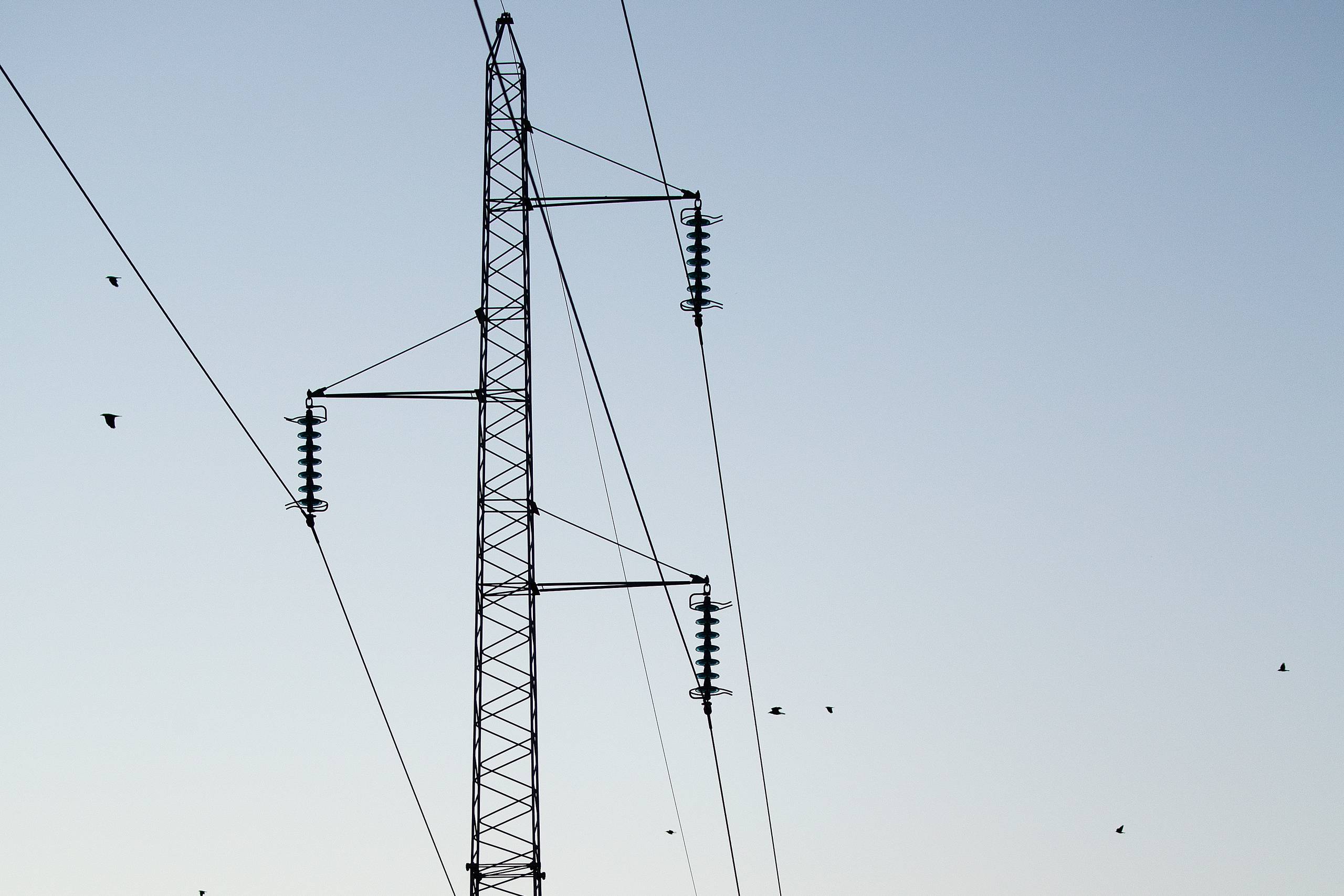 Det,​ der har fået elprisen til aktuelt at løbe helt grassat, er den såkaldt grønne omstilling med stærkt varierende elproduktion fra sol og især vind, skriver Frede Vestergaard. Arkivfoto: Thomas Borberg