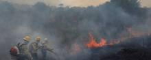 Brandfolk kæmper med at styre en skovbrand i Amazonas tidligere på måneden. August er typisk den måned, hvor voldsomme skovbrande i Amazonas tager til. Arkivfoto: Bruno Kelly/Reuters