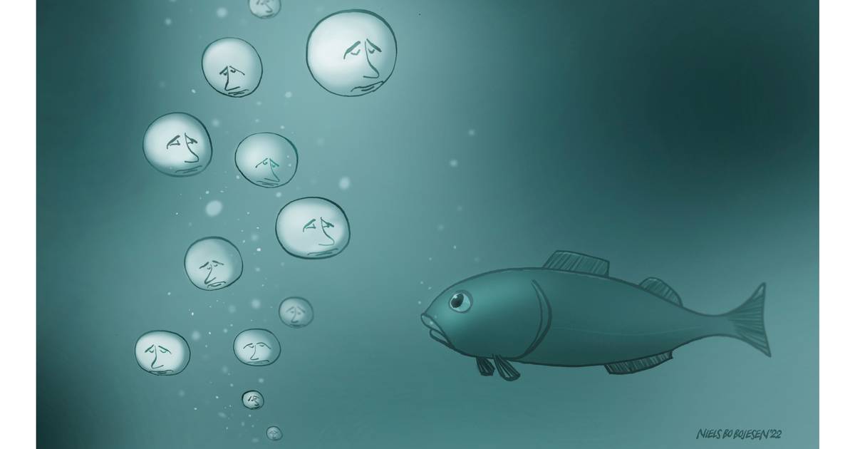 dagens-tegning-p-dybt-vand-jyllands-posten