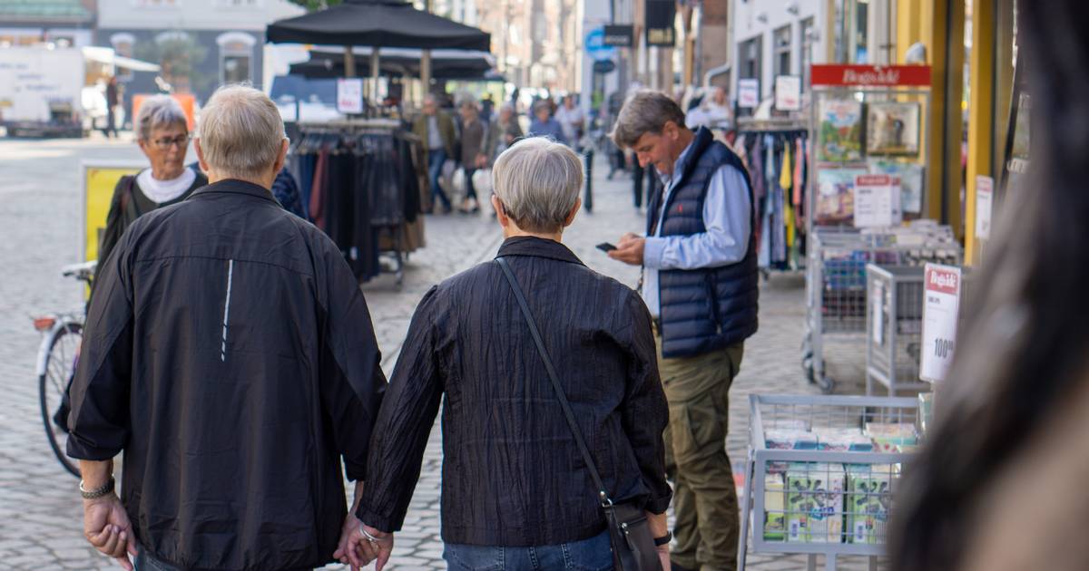 Borgerforslag Skulle Styrke Demokratiet Men Få Bruger Dem 