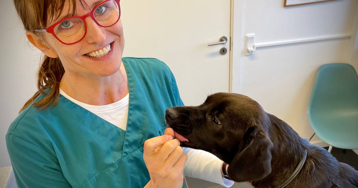 »Jeg sagde, at kan noget, så vi boede til leje et år for at se