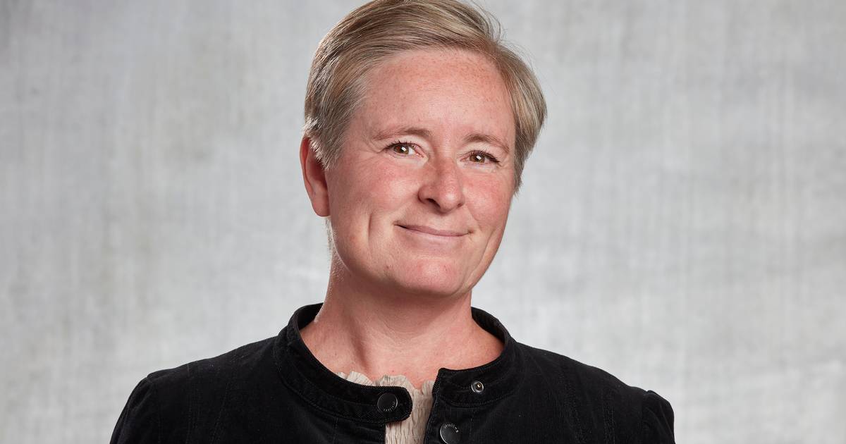 Om erhvervslivet i »Det er en gave at se, hvor meget de deler