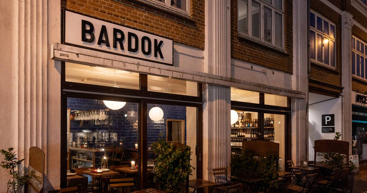 Madanmeldelse af Bardok fra jyllands-posten.dk