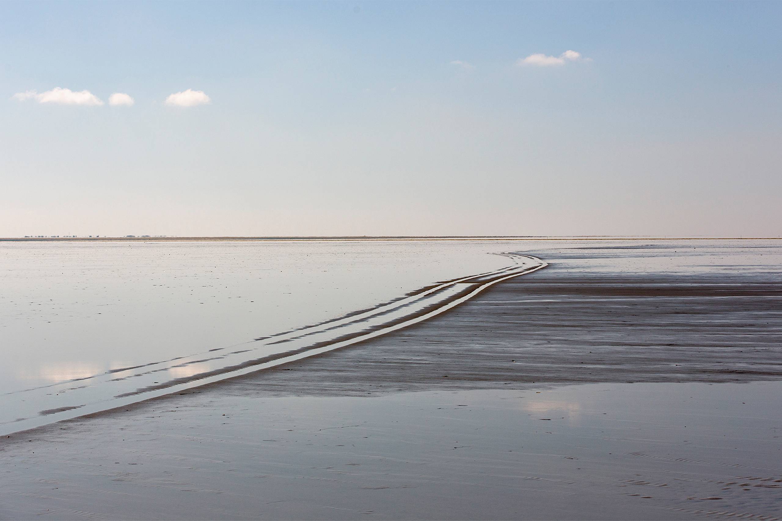 Danmarks ​Naturfredningsforening er bekymret over regeringens udpegning af Nationalpark Vadehavet og andre naturområder som mulige placeringer for et nyt nationalt testcenter for vindmøller. Arkivfoto: Jens Kr. Kjaergaard