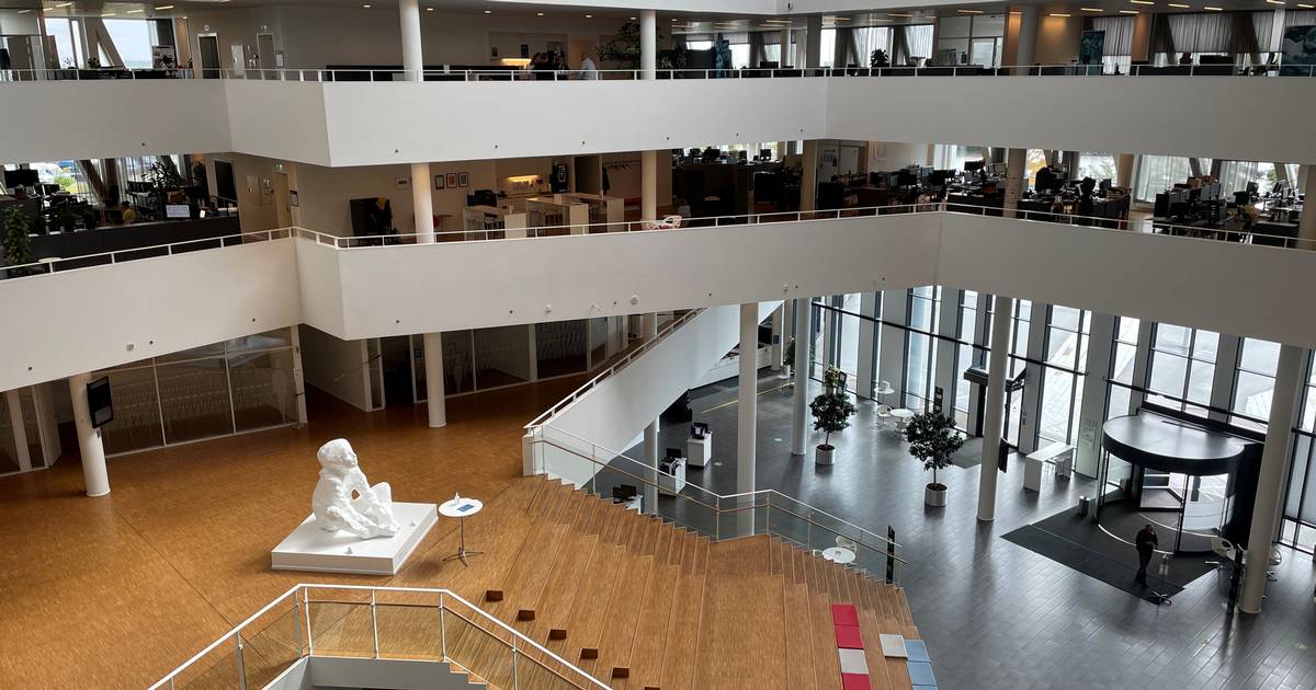 Dyneløfteri på rådhuset: Ansatte snagede også i kollegers privatliv ...