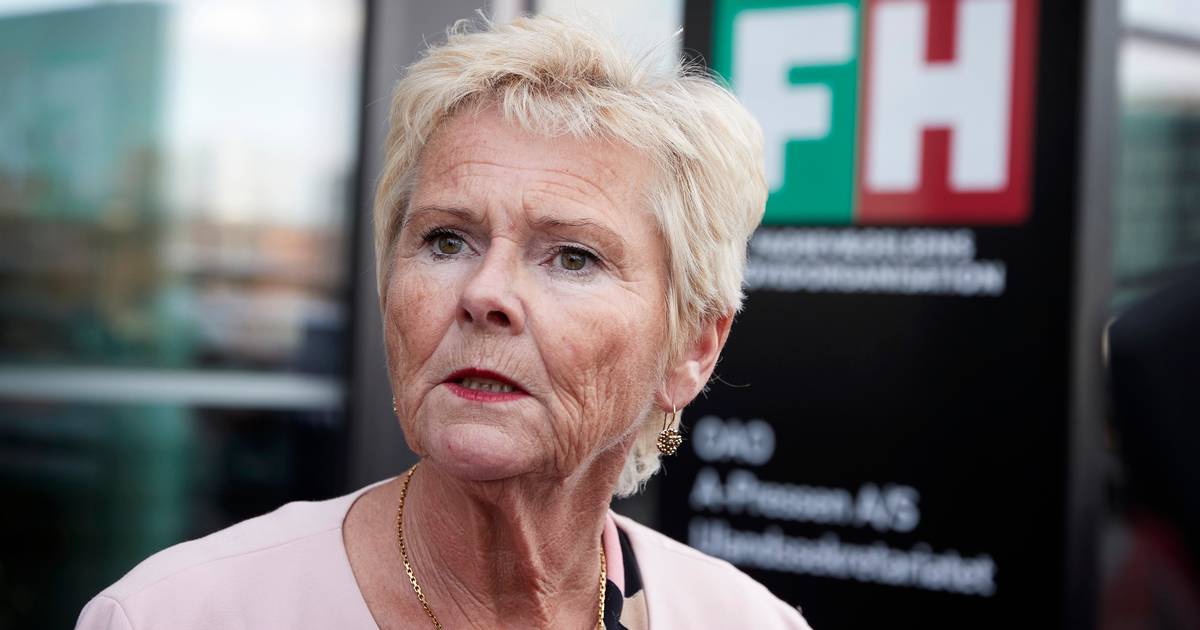 Lizette Risgaard trækker sig som formand for FH