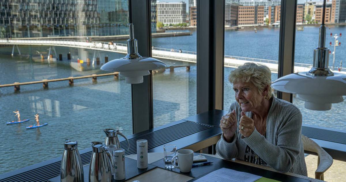 Lizette Risgaard trækker sig som formand: Det betyder det for ...