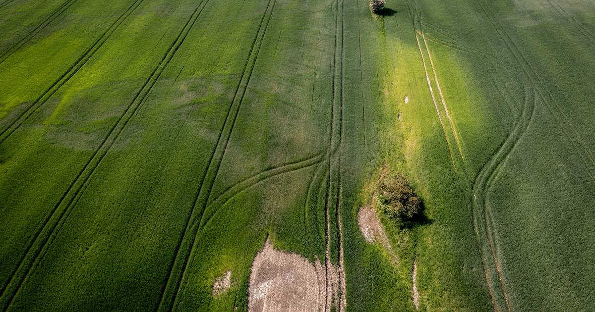 Tørken fortsætter i weekenden - varmest bliver Vestjylland - Jyllands ...
