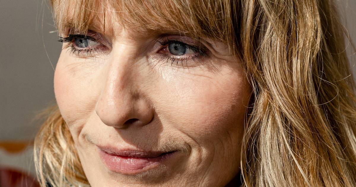 Rod fylder mere i danske hjem - Jyllands-Posten