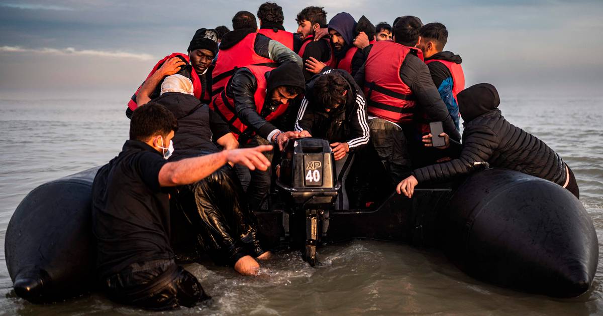 »Det er din eneste mulighed«: Asylansøgere går til ekstremer for at øge deres chancer