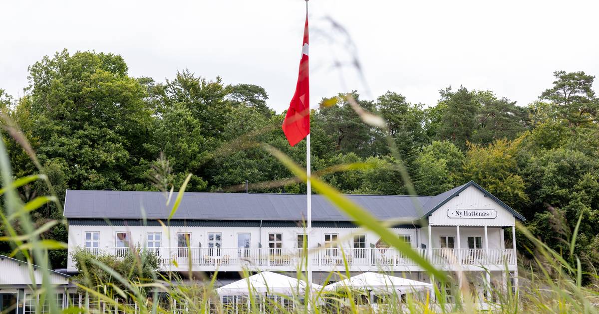 Madanmeldelse af Ny Hattenæs fra jyllands-posten.dk