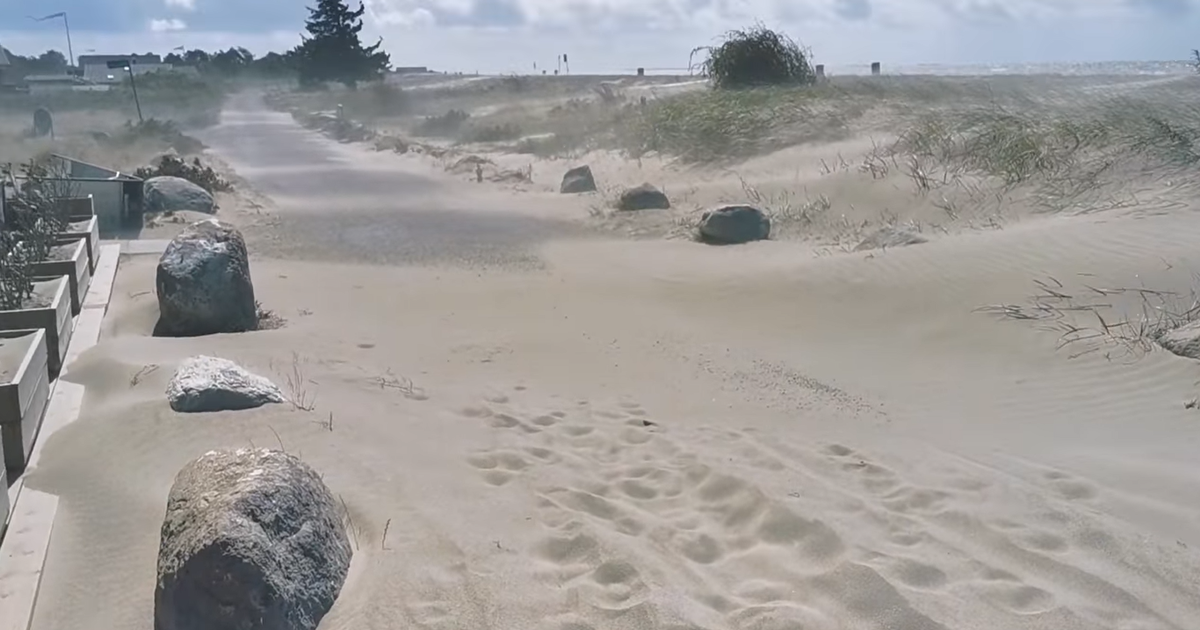 Café- og sommerhusejere taget med (sand)storm på Enø - Jyllands-Posten