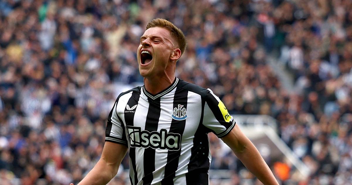 Newcastle leverede enestående comeback mod West Ham - Jyllands-Posten