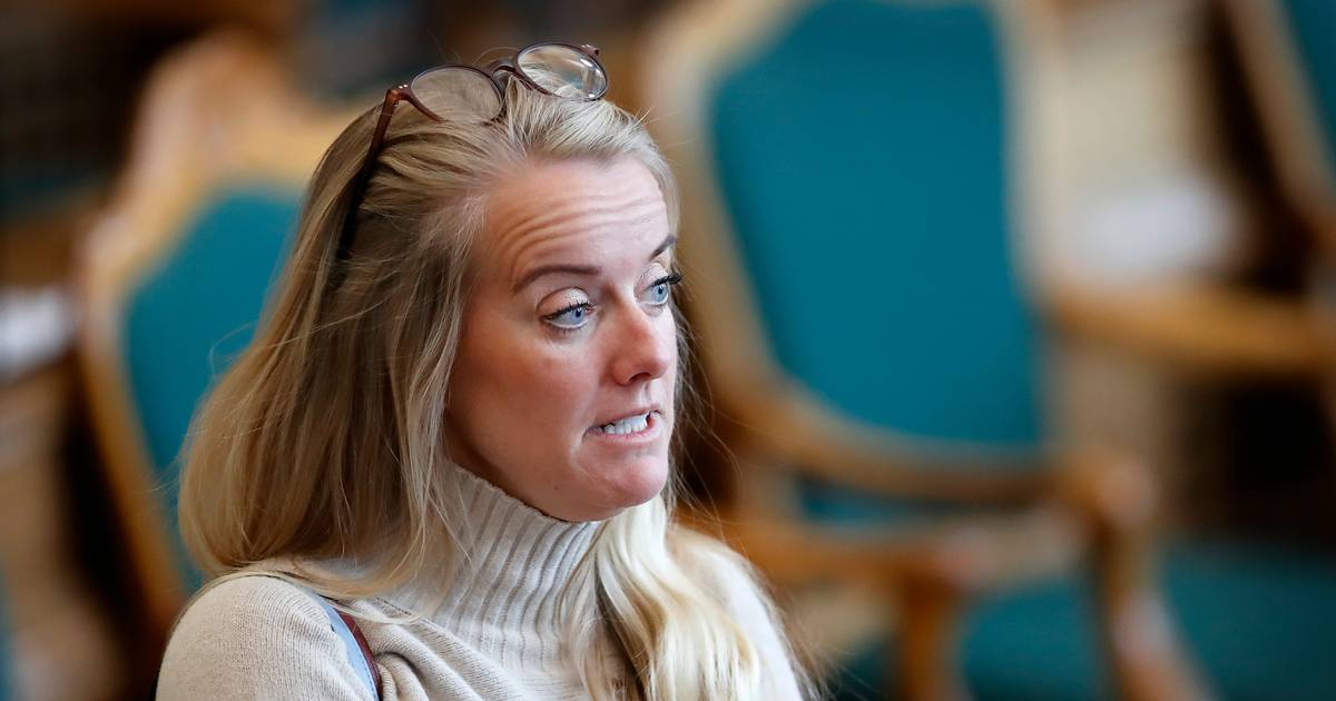 Nye Borgerlige Har Politianmeldt Eksformand Pernille Vermund