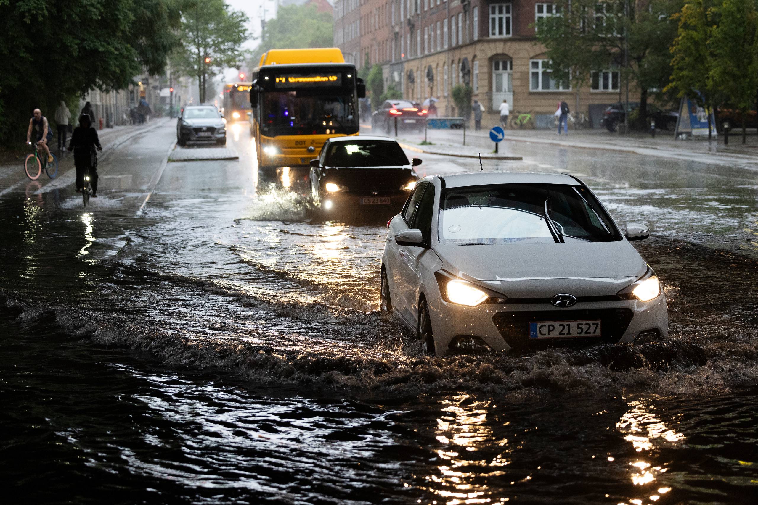 Vi forstår ikke som mennesker, at vi selv som art er en del af naturen, og de skade,r vi påfører denne, påfører vi derfor også os selv. Så længe den erkendelse udebliver, kan vi ikke ændre udviklingen nævneværdigt, skriver Jesper Theilgaard. Arkivfoto: Thomas Borberg