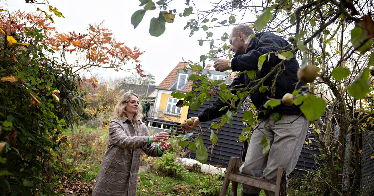 Hvordan finder man ro midt i død og ødelæggelse? En forsker, en naturvejleder og en forfatter har hver et bud