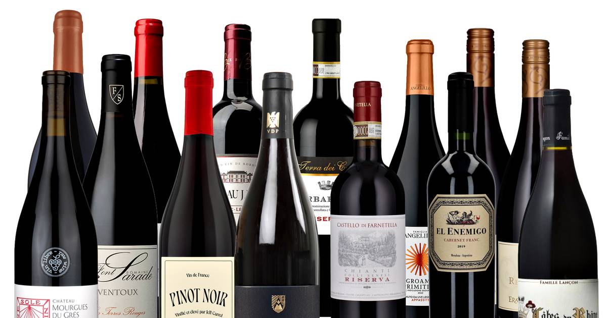Den bedste rødvin til under 150 kr. er en bourgogne - Jyllands-Posten