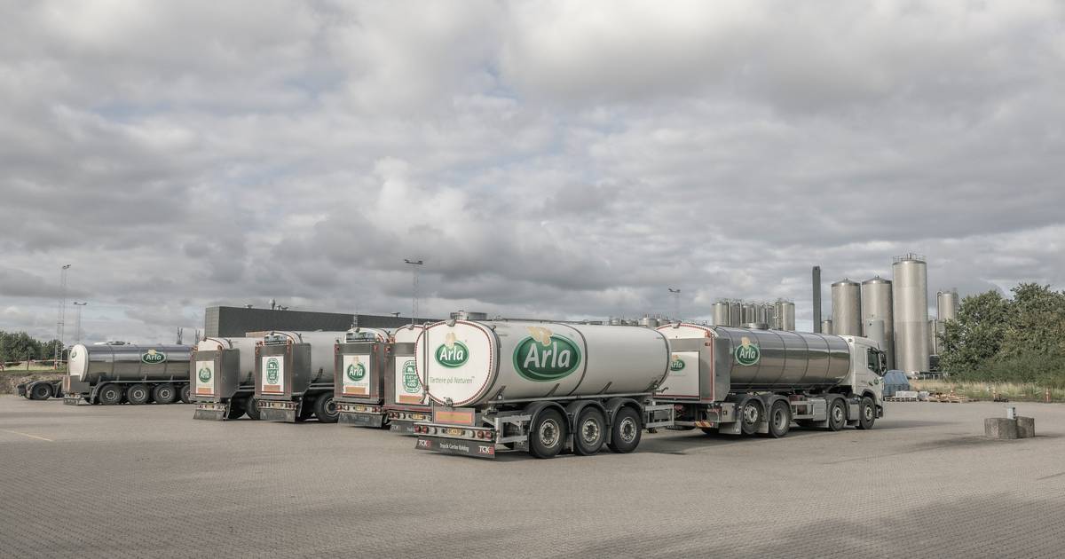 Erhvervsliv i energikrise: Dette lærte en af Danmarks største energiforbrugere af den seneste krise