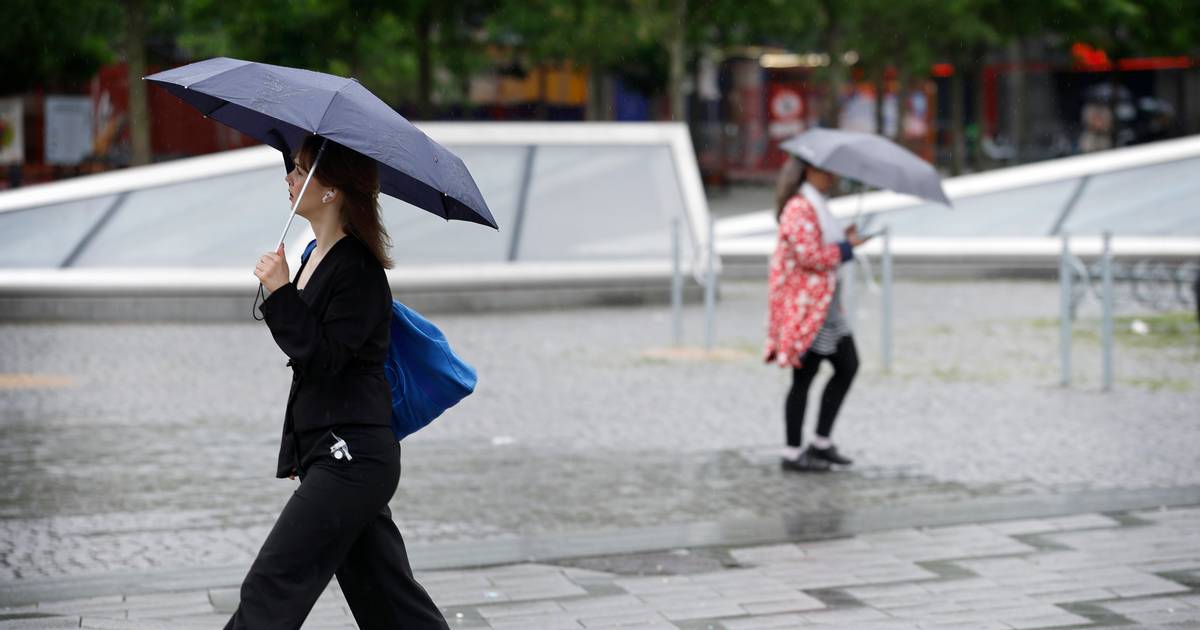Der kan falde op til 35 millimeter regn på Sjælland fredag - Jyllands ...