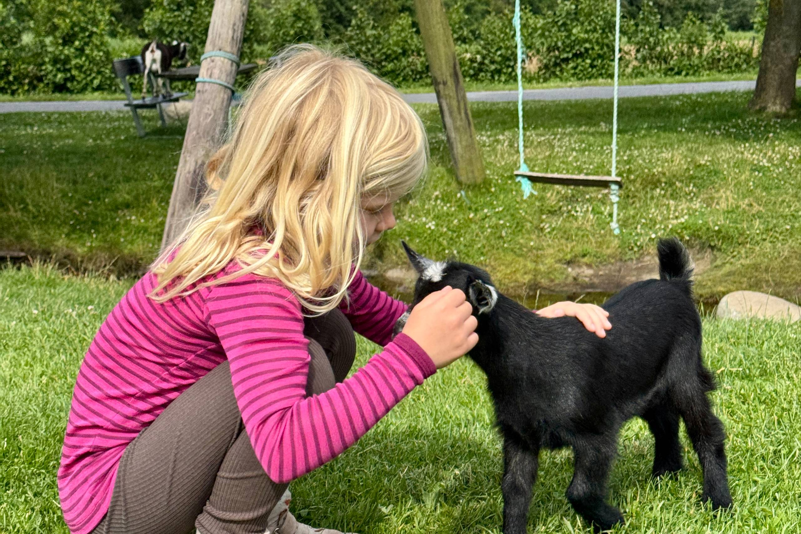 Det danske børnesyn rummer bogstaveligt talt det hele. Når du ikke slagter gæs, kan du klappe gårdens ged. Foto: Ane Malmmose Lynge