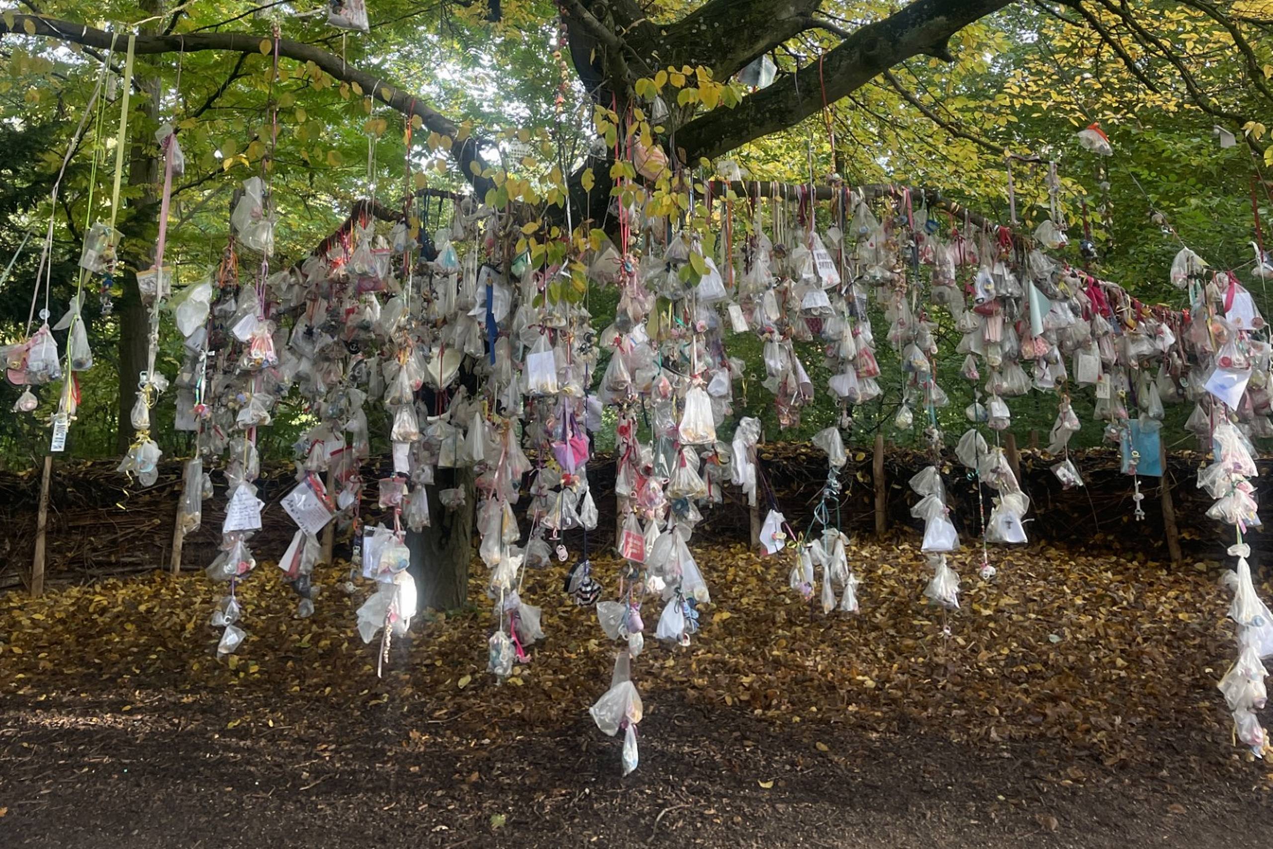 Suttetræet i Frederiksberg Have - inden sæsonens sutter blev taget ned. Privatfoto
