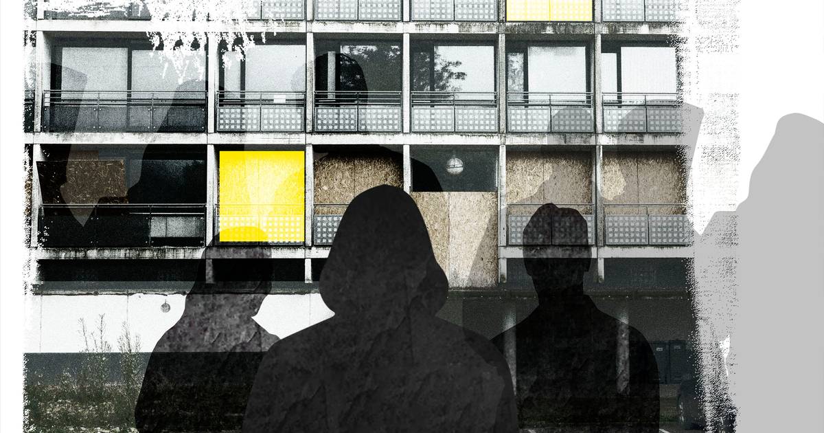 Aarhus er pioner i kampen mod kriminelle storfamilier:  Nu advarer politiet mod massive besparelser
