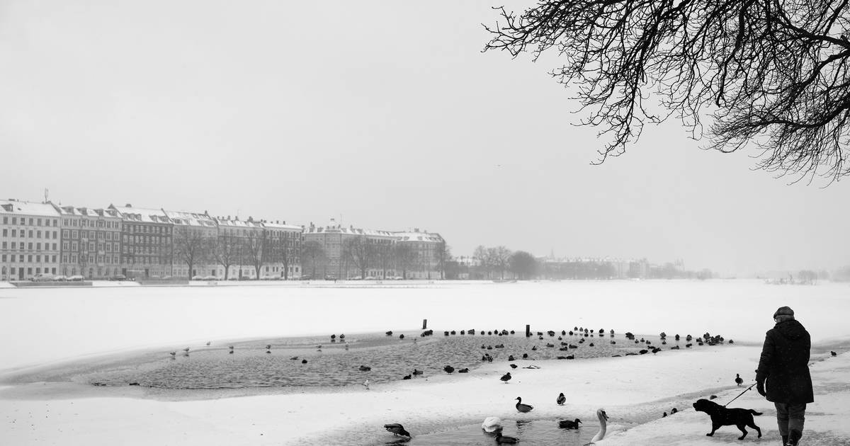 DMI:  Chancen for lokal hvid jul »er bestemt til stede«