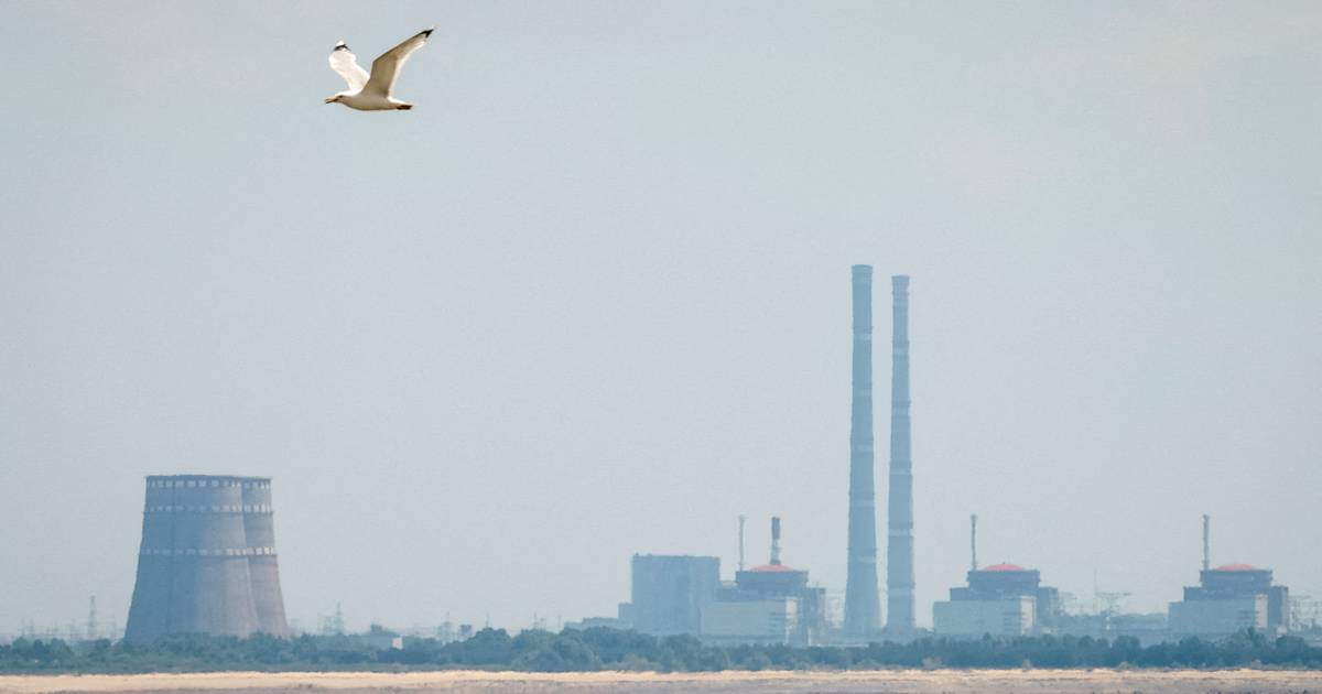 Få overblikket: Her er alle fredsplanens punkter