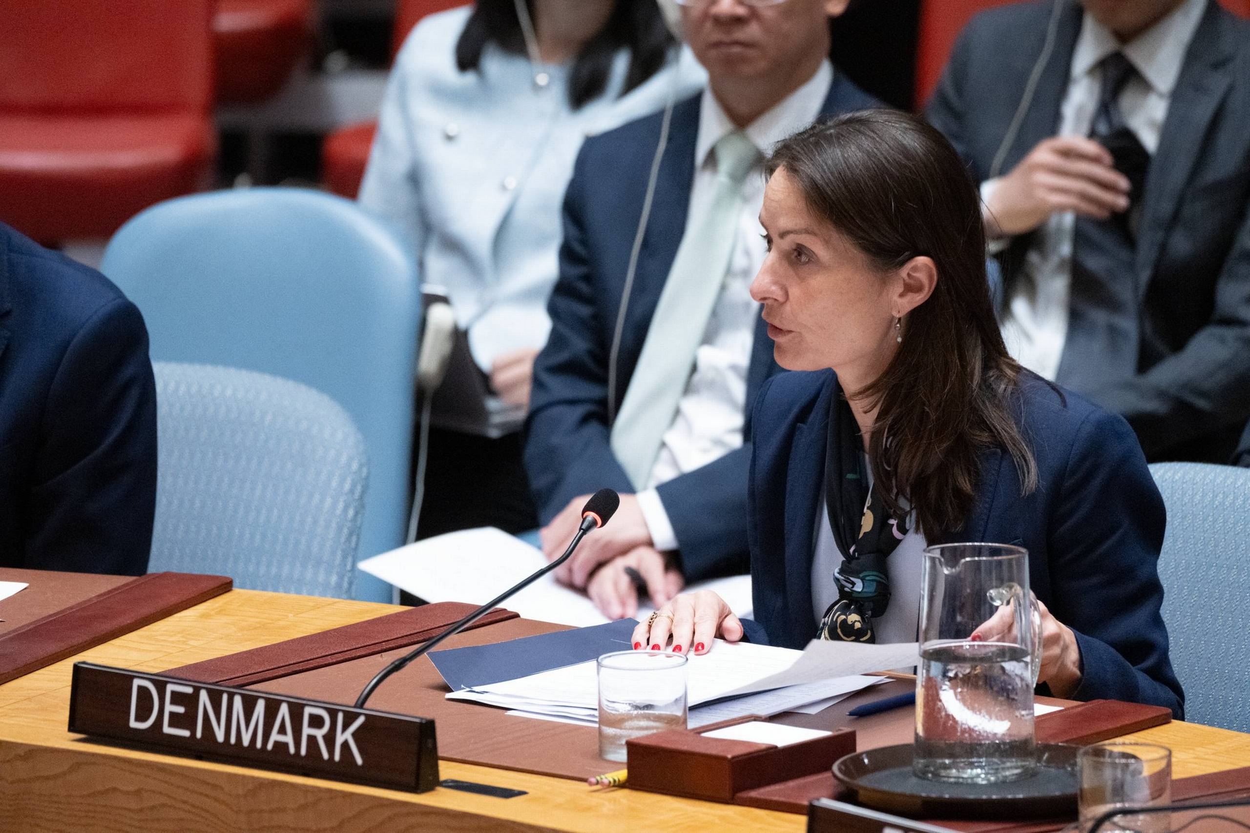 Christina Markus Lassen på arbejde som ambassadør i FN: En dilemmafyldt hverdag i en uforudsigelig verden. Foto: UM