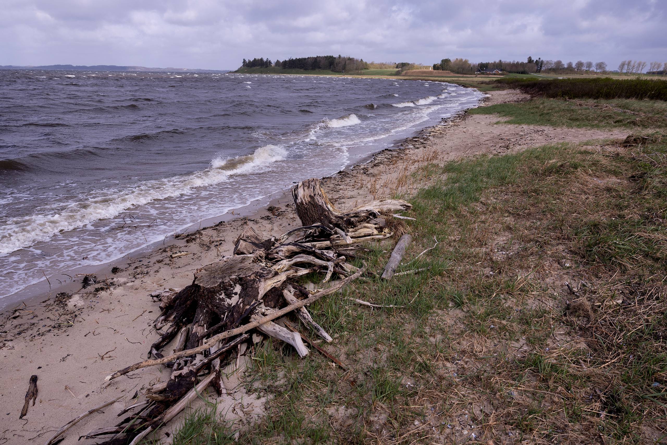 Enten beslutter vi, at Limfjorden skal have det bedre, og handler derefter. Eller også lader vi udviklingen fortsætte, mens fjorden betaler prisen. Det er ikke et mysterium. Det er et valg, skriver Helle Mogensen. Arkivfoto: Finn Frandsen.