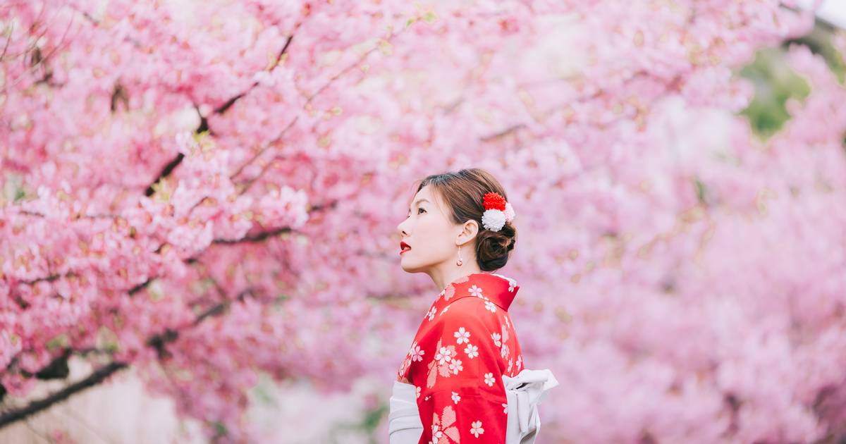 De kommende måneder blomstrer kirsebærtræerne: Danskerne drager i stor stil mod Japan, og lige nu kan man få uhørt meget for pengene