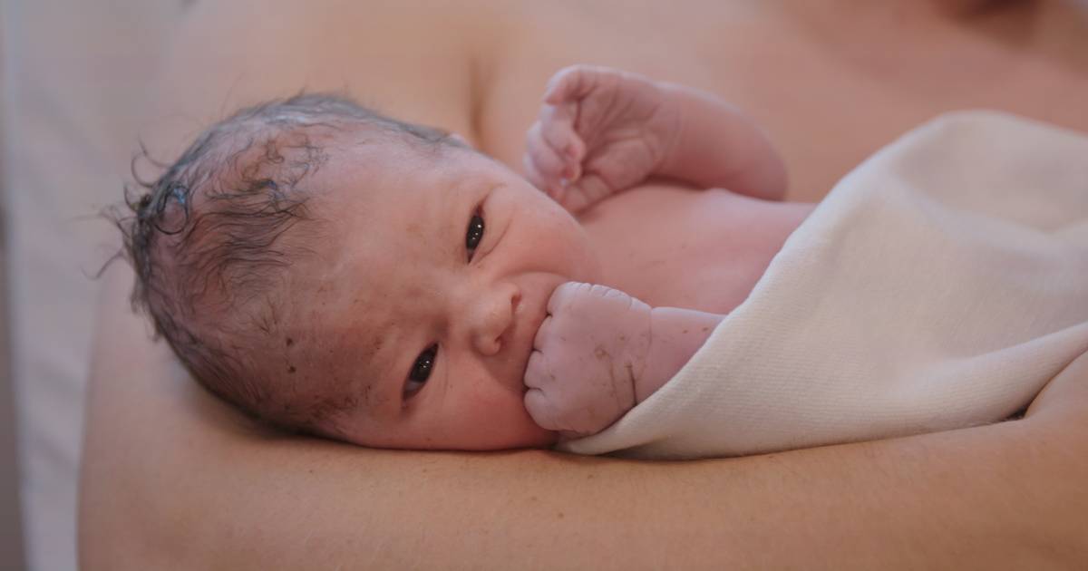 Livets magi b&aelig;res i tr&aelig;tte h&aelig;nder