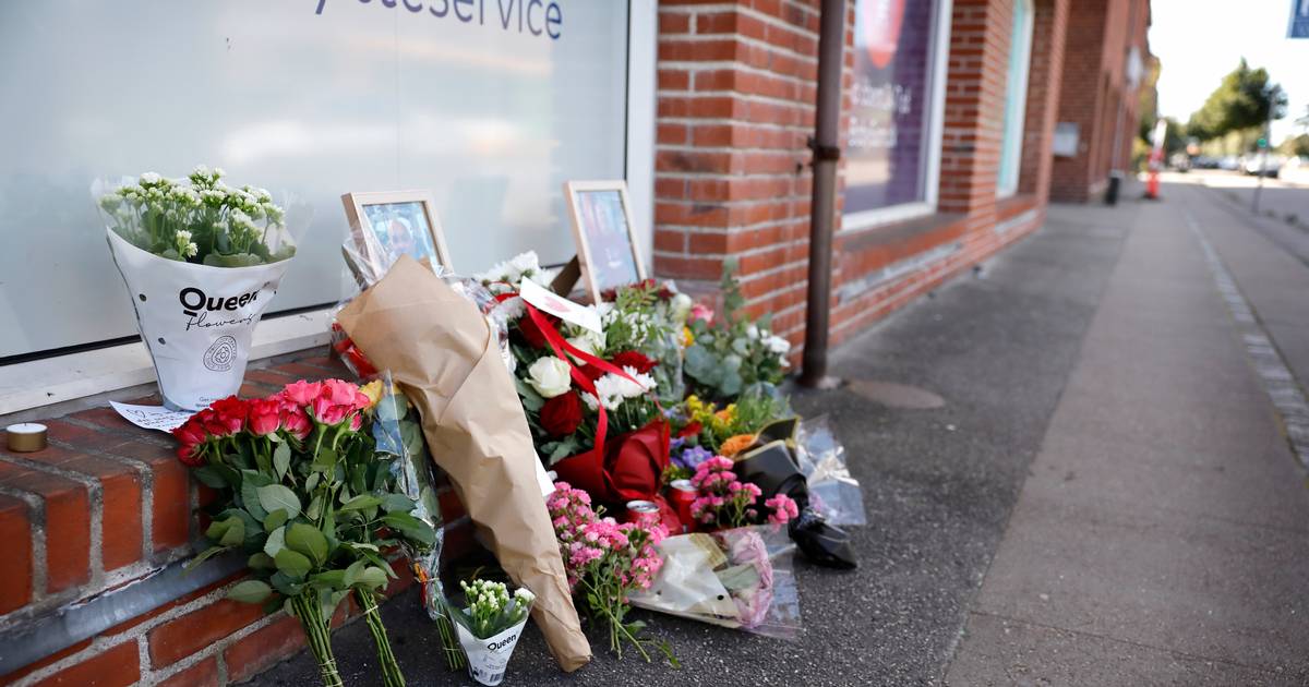 18-årig erkender at have kørt 65-årig ihjel ved BabySam