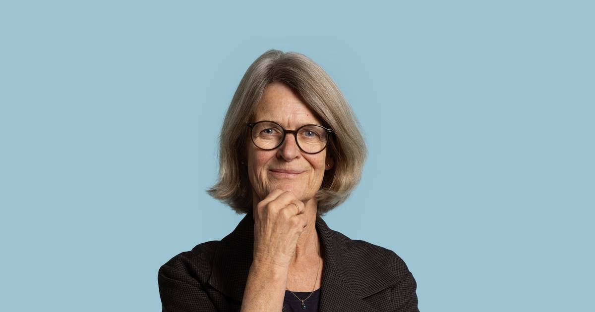 Den mærkelige regering blev dømt ude: Til gengæld er 12 partier inde i en tid, hvor Danmark ikke har råd til rod