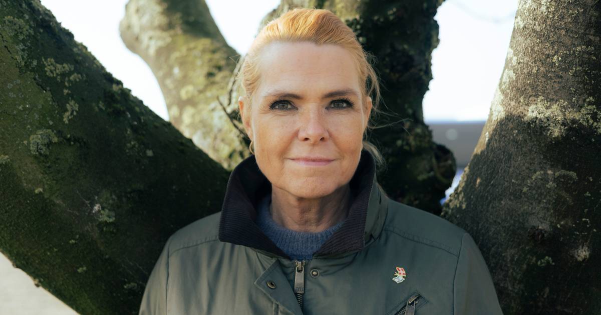 »Du har gravet rigeligt i tingene« - Jyllands-Posten