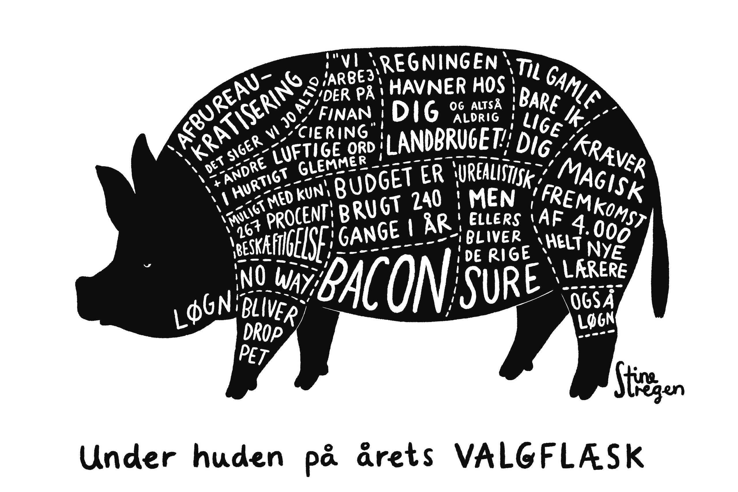 Tegning: StineStregen