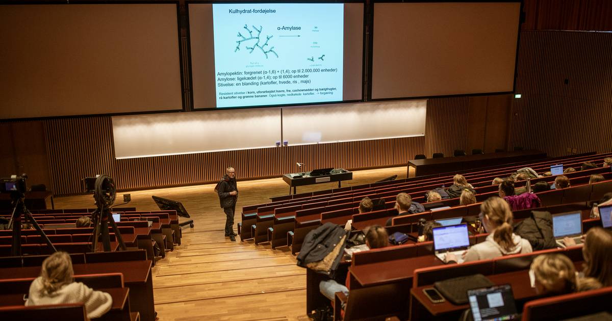 Vi risikerer at uddanne en generation af flittige, men retningsløse perfektionister