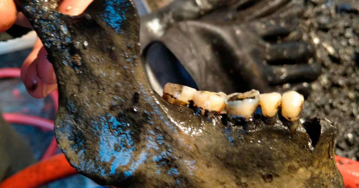 Arkæologer støvsugede dansk skib og fandt menneskekæbe