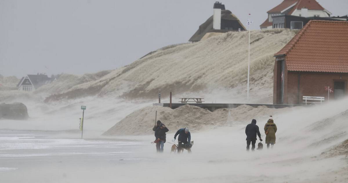 Tre personer dræbt af væltet træ i Nordtyskland