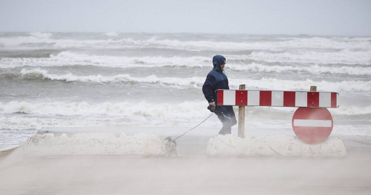 Politikreds ophæver varsel - men der er fortsat risiko for væltede træer og tagsten